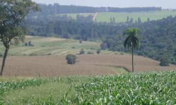 Imagem 7: FAZENDA RURAL em Itapetininga - SP, Centro