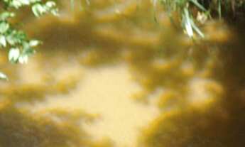 Imagem 5: FAZENDA RURAL em Itapetininga - SP, Centro