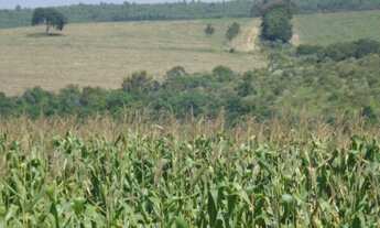 Imagem 6: FAZENDA RURAL em Itapetininga - SP, Centro