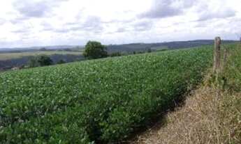Imagem: FAZENDA RURAL em Itapeva - SP, Centro