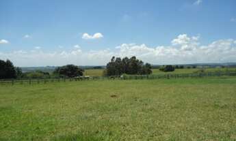 Imagem 6: SITIO RURAL em Pilar do Sul - SP, Campo Grande