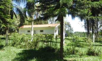 Imagem 2: SITIO RURAL em Pilar do Sul - SP, Campo Grande