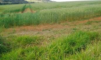 Imagem 7: FAZENDA RURAL em Itapetininga - SP, Centro