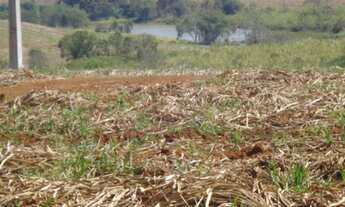 Imagem 3: Fazenda a venda em Itapetininga SP, interior de São Paulo SP. Fazenda a