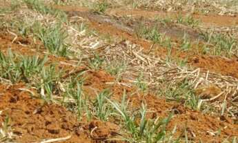 Imagem 4: Fazenda a venda em Itapetininga SP, interior de São Paulo SP. Fazenda a