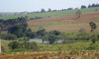 Imagem 7: Fazenda a venda em Itapetininga SP, interior de São Paulo SP. Fazenda a