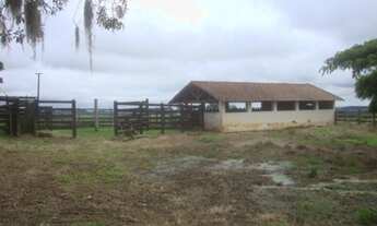 Imagem 4: FAZENDA RURAL em Itapetininga - SP, Chapadinha