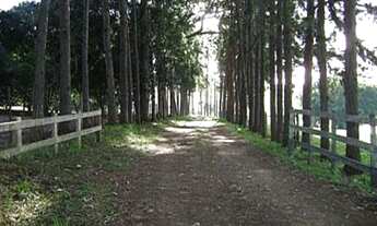 Imagem 2: FAZENDA RURAL em Botucatu - SP, Alto