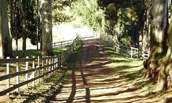 Imagem 3: FAZENDA RURAL em Botucatu - SP, Alto
