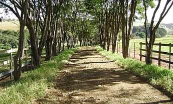 Imagem 5: FAZENDA RURAL em Botucatu - SP, Alto