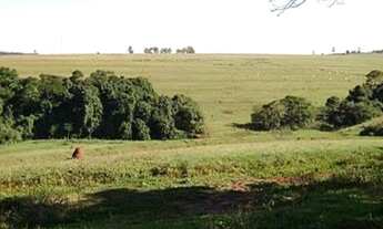 Imagem 7: FAZENDA RURAL em Botucatu - SP, Alto