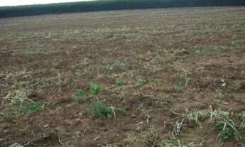 Imagem 3: FAZENDA RURAL em Itapeva - SP, Centro