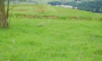 Imagem 5: FAZENDA RURAL em Piraju - SP, Centro