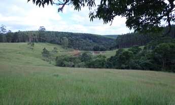 Imagem 4: FAZENDA RURAL em Itapetininga - SP, Conceição