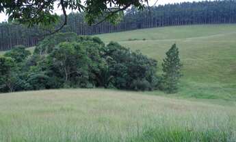 Imagem 6: FAZENDA RURAL em Itapetininga - SP, Conceição