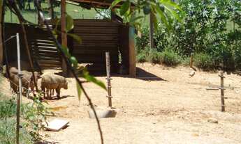 Imagem 5: SITIO RURAL em Sarapuí - SP, FAXINAL