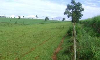 Imagem 4: FAZENDA RURAL em Itapetininga - SP, Centro