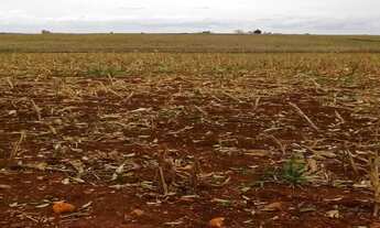 Imagem: SITIO RURAL em Tatuí - SP, Enxovia