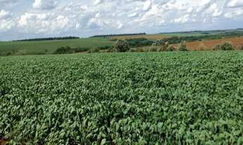 Imagem 7: FAZENDA RURAL em Angatuba - SP, Centro