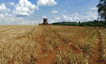 Imagem 4: FAZENDA RURAL em Angatuba - SP, Centro