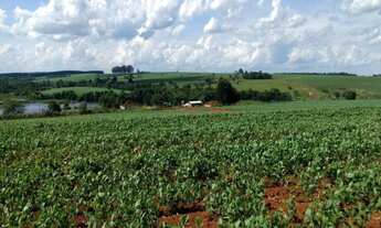 Imagem 6: FAZENDA RURAL em Angatuba - SP, Centro