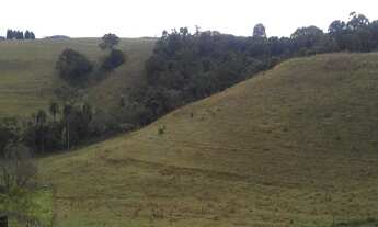 Imagem: Imobiliária rural SP, Fazenda a venda Terras