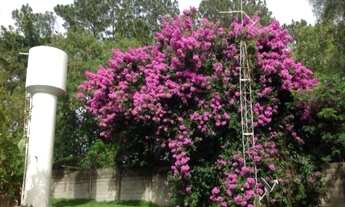 Imagem 6: SITIO RURAL em Araçoiaba da Serra - SP