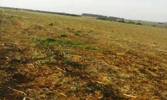 Imagem 7: FAZENDA RURAL em Itapetininga - SP, Área Rural