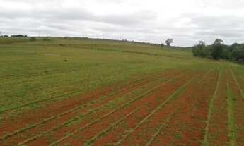 Imagem: FAZENDA RURAL em Itapeva - SP, Área Rural