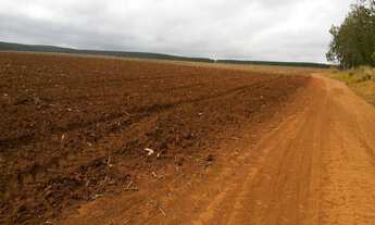 Imagem 7: FAZENDA RURAL em Itapetininga - SP, Área Rural