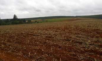 Imagem 4: FAZENDA RURAL em Itapetininga - SP, Área Rural