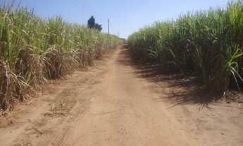 Imagem 6: FAZENDA RURAL em Itapetininga - SP, Centro