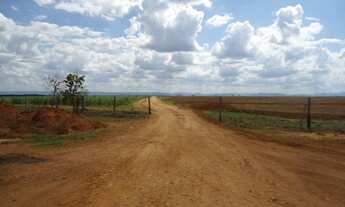 Imagem: FAZENDA RURAL em Tatuí - SP, Enxovia