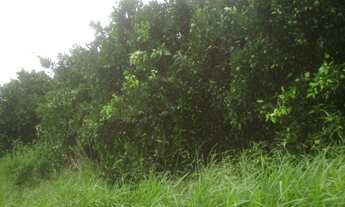 Imagem 3: FAZENDA RURAL em Buri - SP, Centro