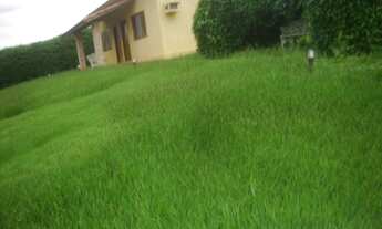 Imagem 4: FAZENDA RURAL em Buri - SP, Centro