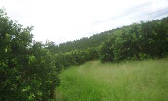 Imagem 5: FAZENDA RURAL em Buri - SP, Centro