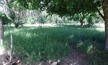 Imagem 2: TERRENO RESIDENCIAL em Sarapuí - SP, MORADA DO SOL