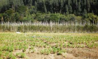 Imagem 5: SITIO em Pilar do Sul - SP, Campo Grande