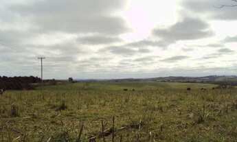 Imagem 4: FAZENDA RURAL em Itapetininga - SP, Conceição
