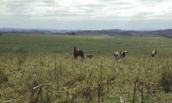 Imagem 5: FAZENDA RURAL em Itapetininga - SP, Conceição