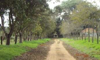 Imagem 6: FAZENDA RURAL em Itapetininga - SP, Conceição