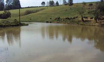 Imagem 7: FAZENDA RURAL em Itapetininga - SP, Conceição