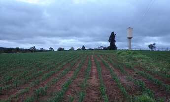 Imagem: SITIO RURAL em Sarapuí - SP, Estrada municipal