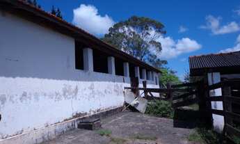 Imagem 6: FAZENDA RURAL em Itapetininga - SP, Conceição