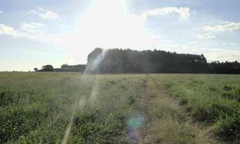 Imagem 3: SITIO RURAL em Angatuba - SP, Centro