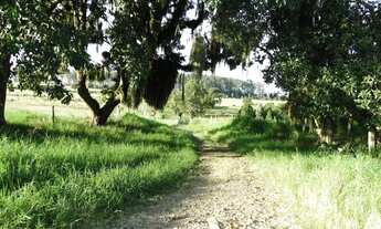 Imagem 5: SITIO RURAL em Angatuba - SP, Centro
