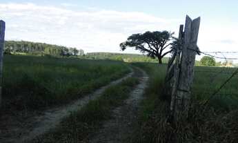 Imagem 7: SITIO RURAL em Angatuba - SP, Centro