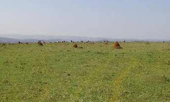 Imagem 3: FAZENDA RURAL em Sorocaba - SP, Centro