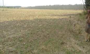 Imagem 2: SITIO RURAL em São Miguel Arcanjo - SP, Centro