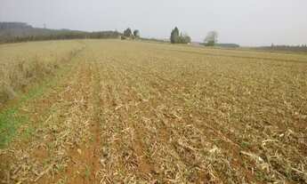 Imagem 3: SITIO RURAL em São Miguel Arcanjo - SP, Centro
